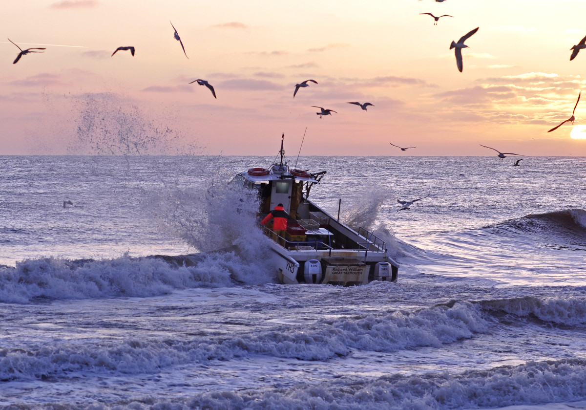 The No.1 supplier of Cromer Crab The No.1 supplier of Cromer Crab